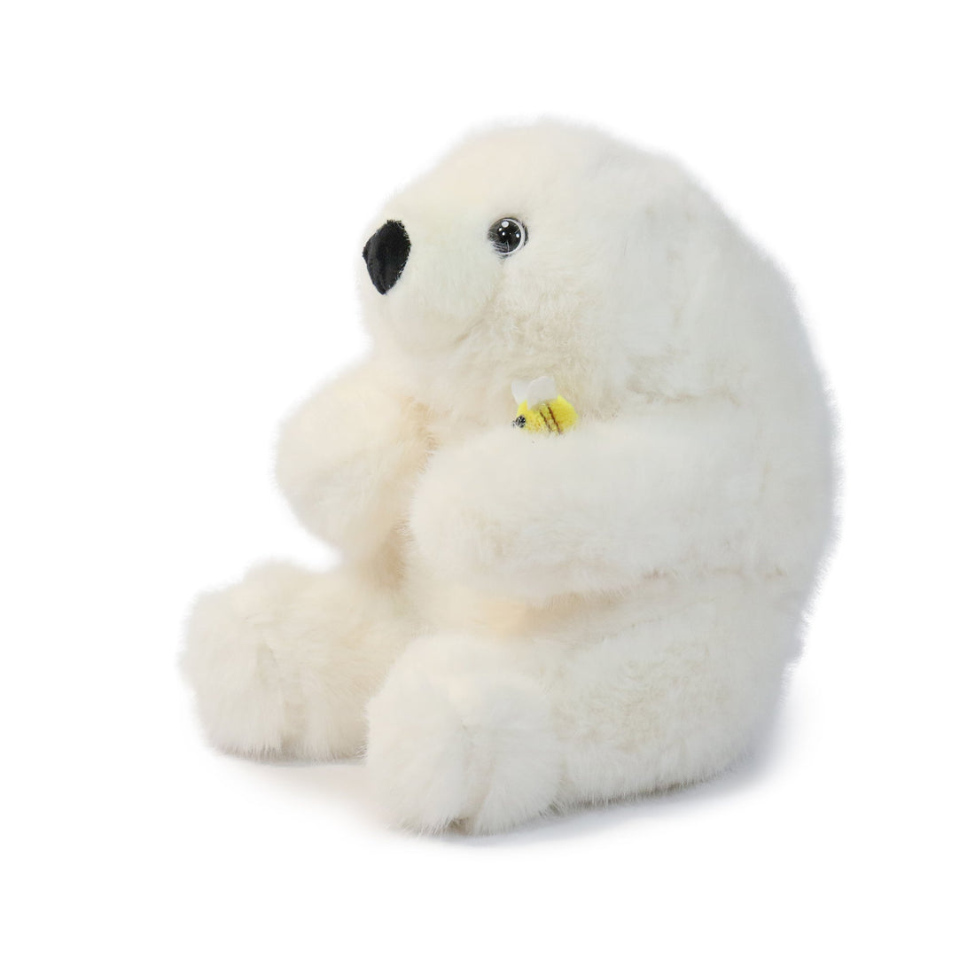 Buzzy Bear 4