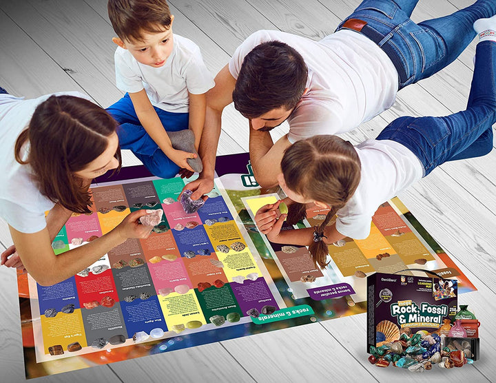 Dan&Darci Mega Rock, Fossil &amp; Mineral Collection & Activity Kit by Surreal Brands 2