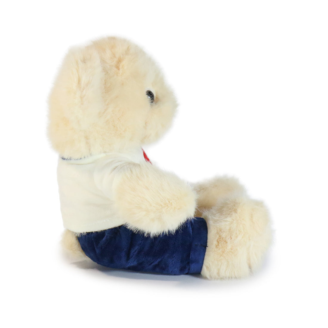Fashionable Huggable Bear 6