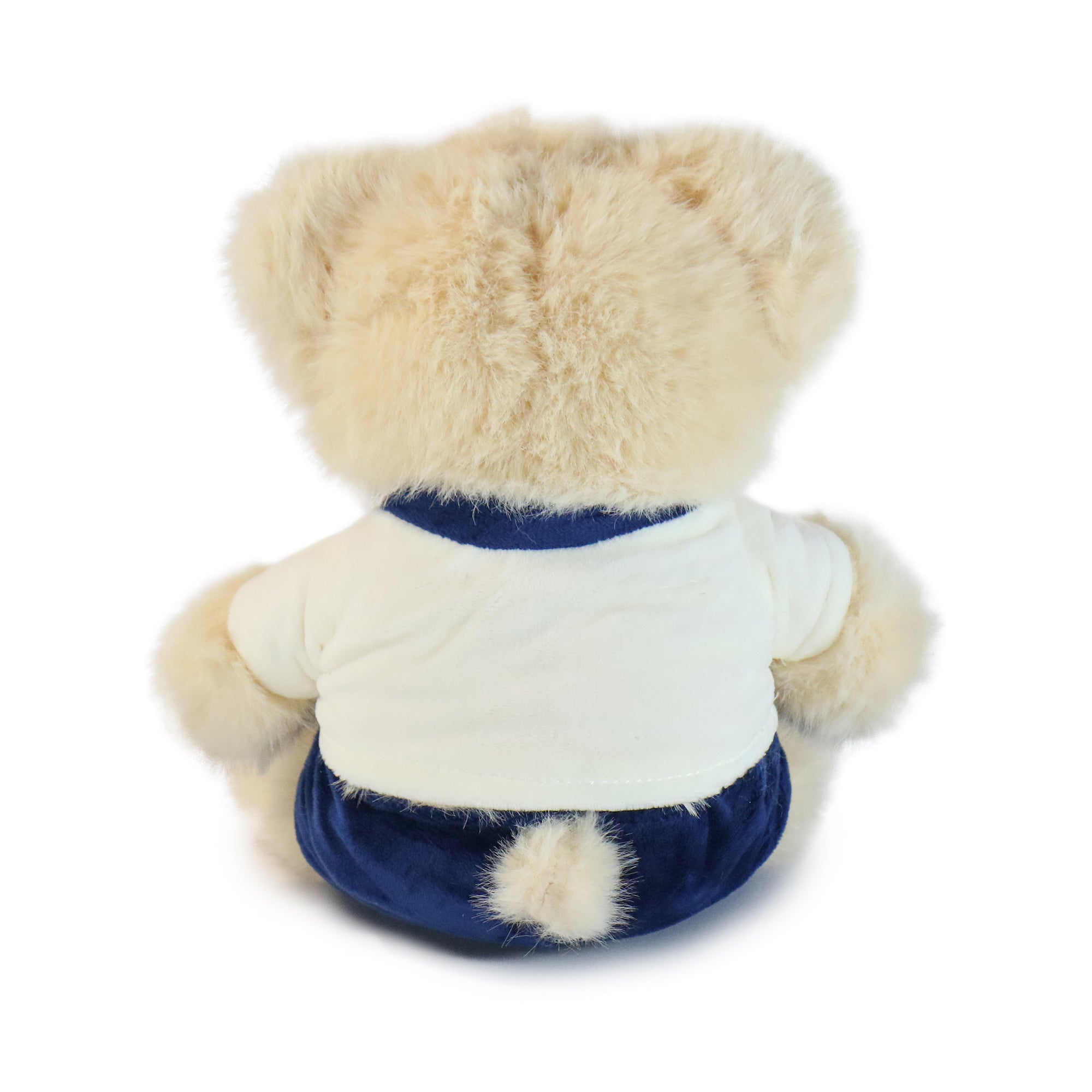 Fashionable Huggable Bear 8