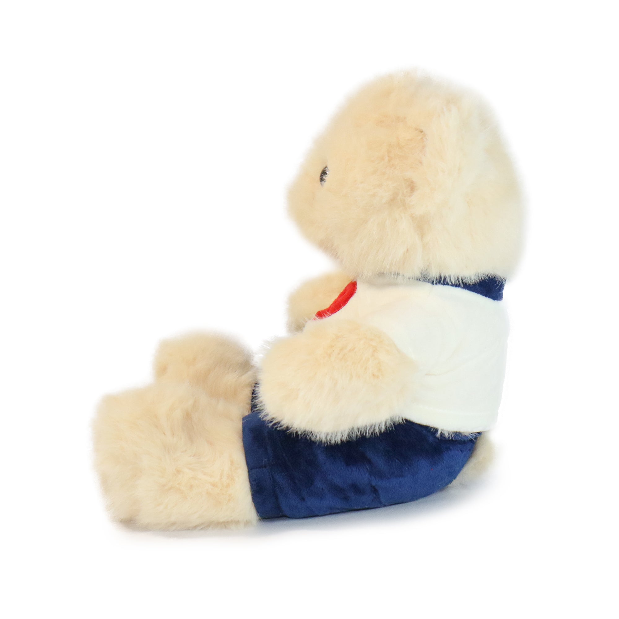 Fashionable Huggable Bear 7