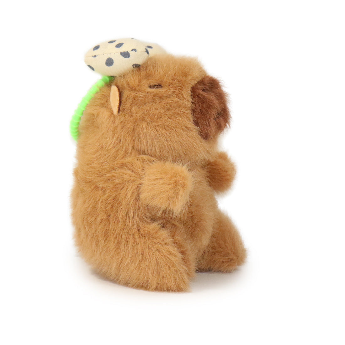Dottie Guinea Pig 4
