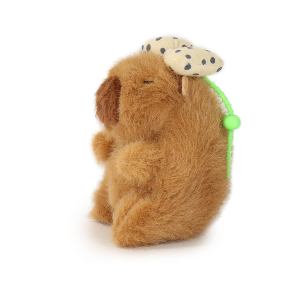 Dottie Guinea Pig 13