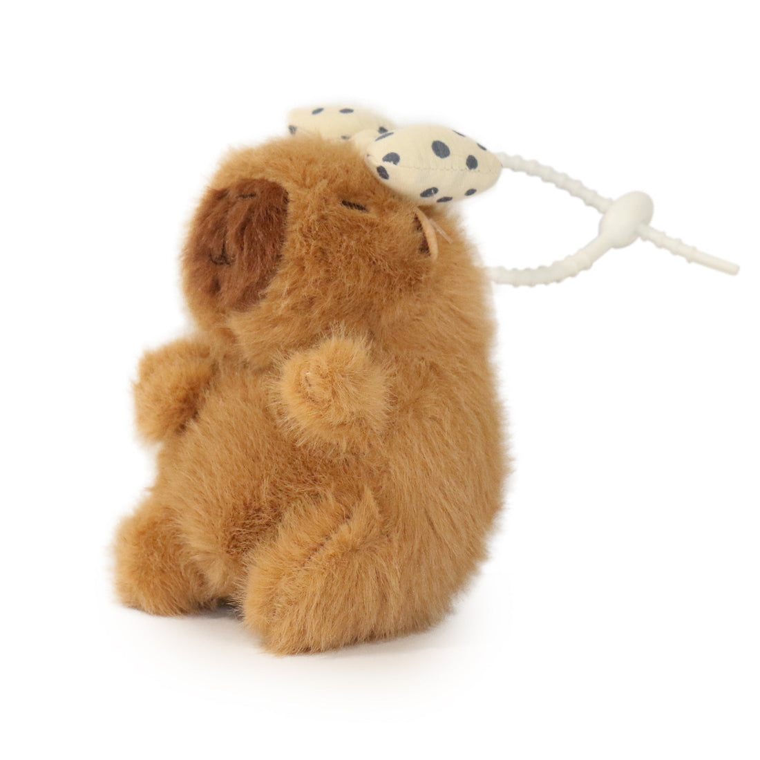 Dottie Guinea Pig 5