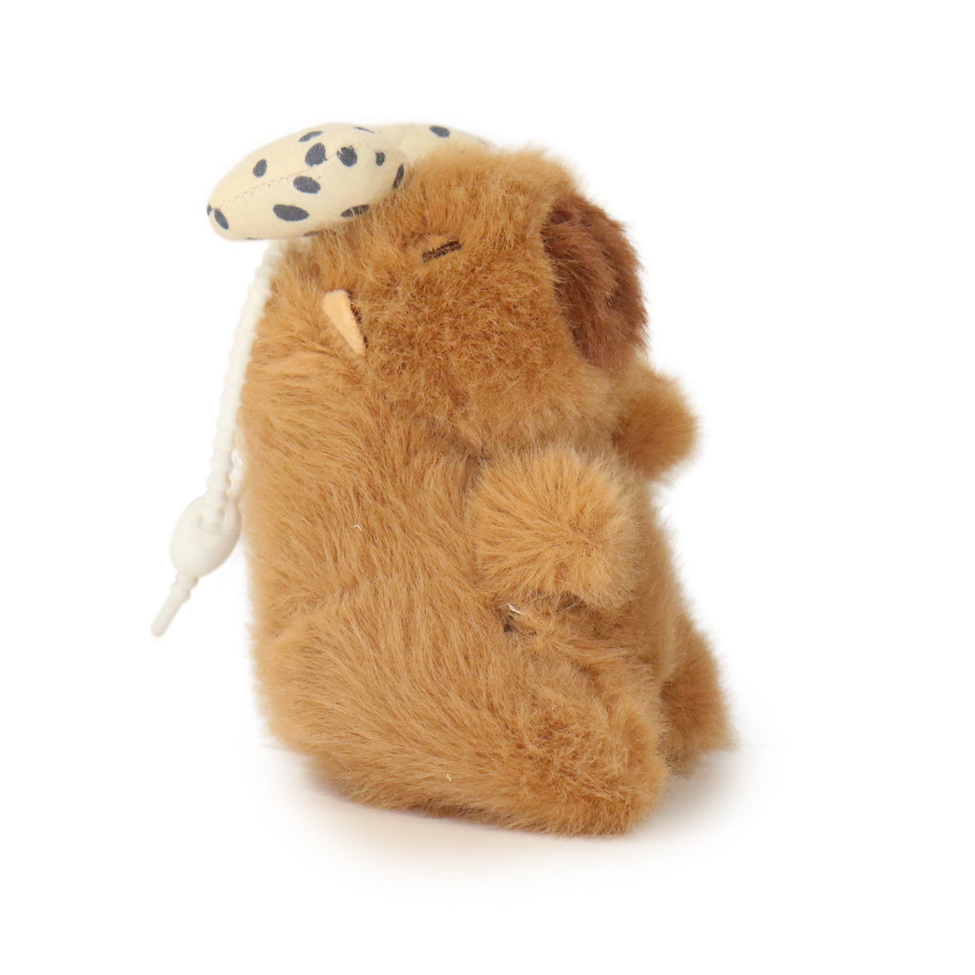 Dottie Guinea Pig 14