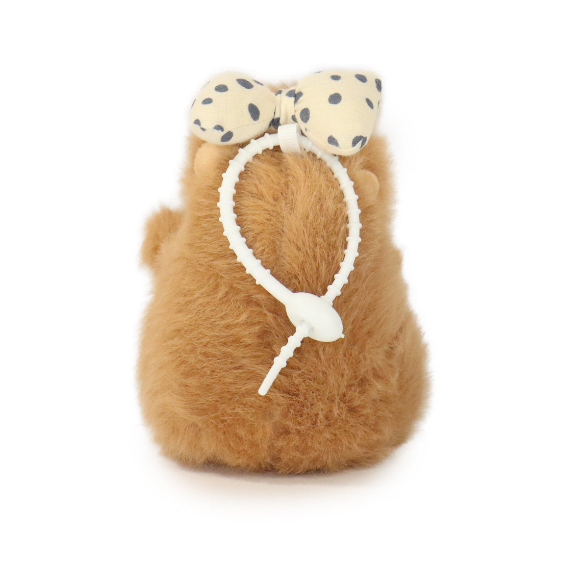 Dottie Guinea Pig 15