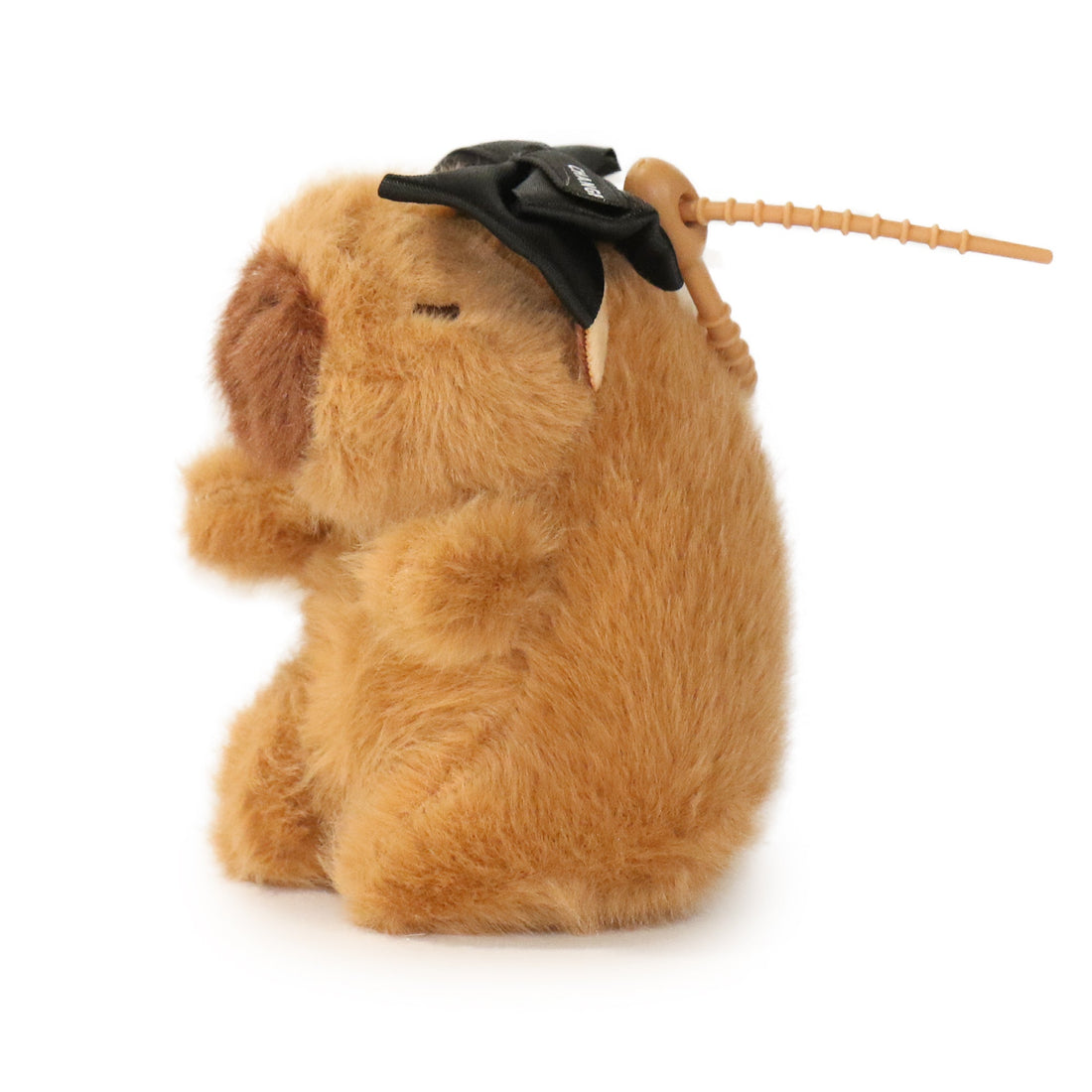 Dottie Guinea Pig 6