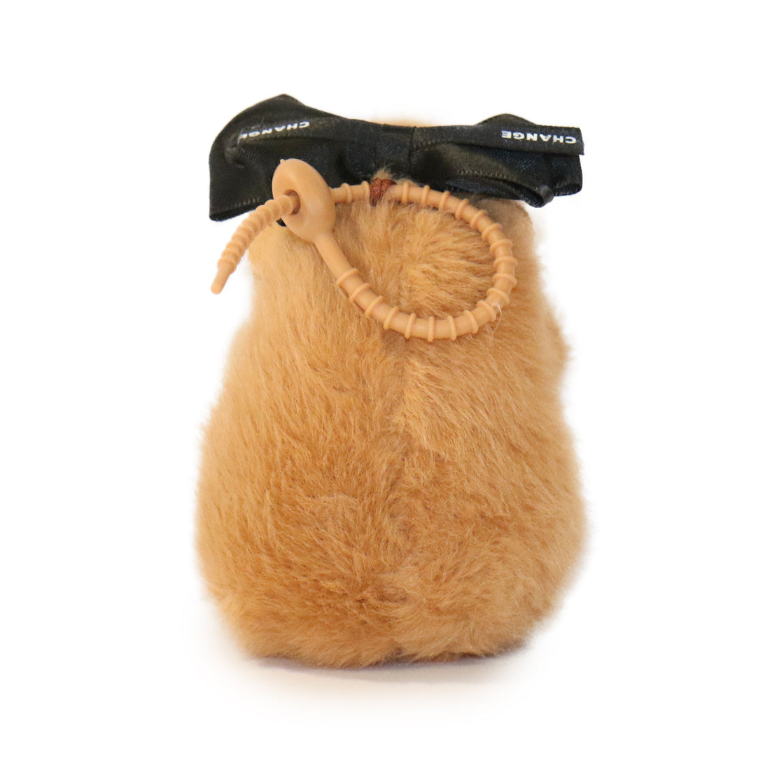Dottie Guinea Pig 7
