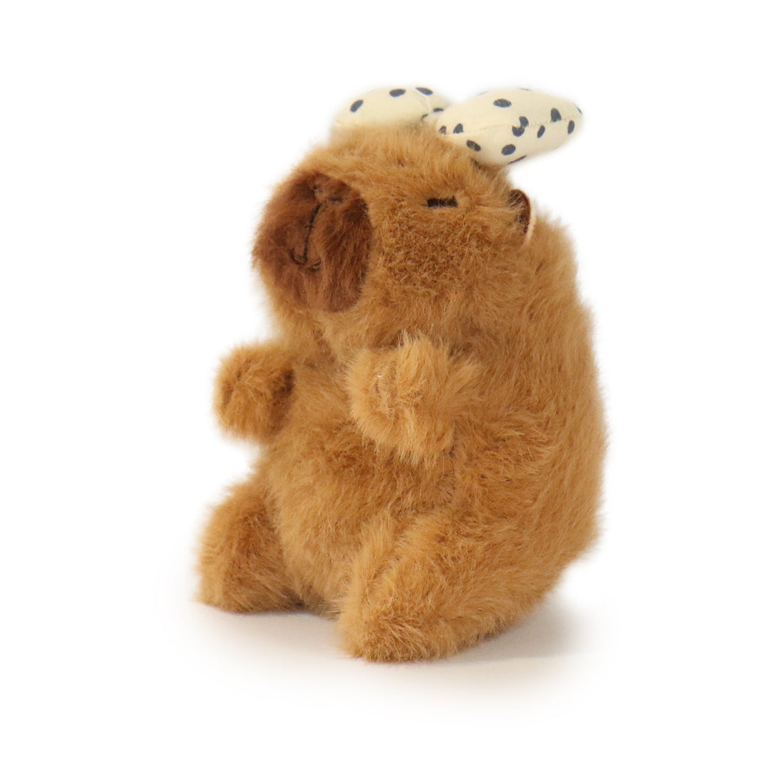 Dottie Guinea Pig 3