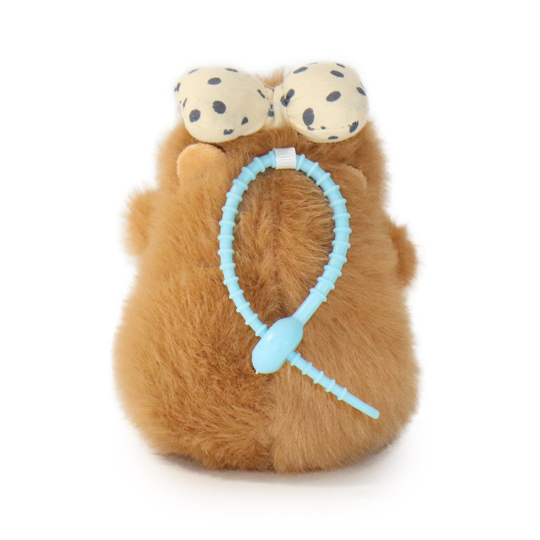 Dottie Guinea Pig 10