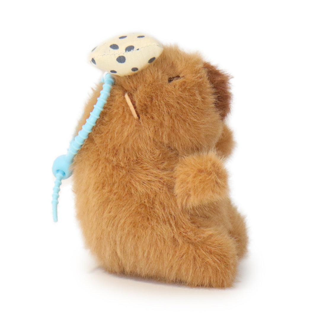 Dottie Guinea Pig 11