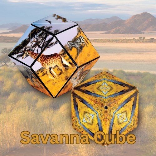 Shashibo Wild Series - Puzzle cube. Best games of 2023. Savanna design cube.