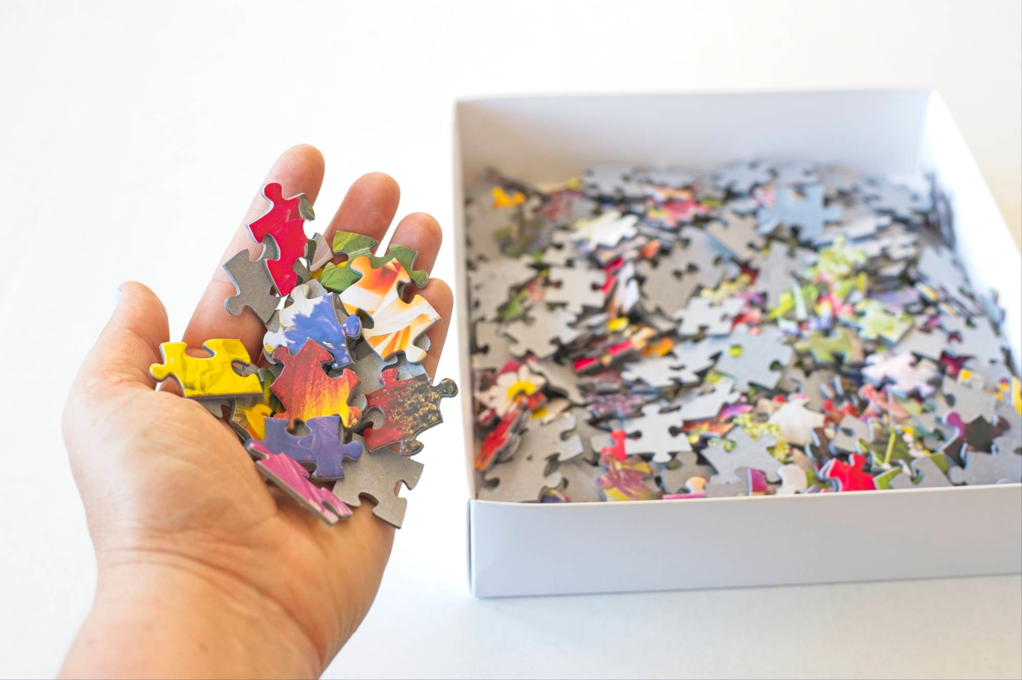 Boxcar Flower Farm Puzzle by DeAnna Tibbs – 500-Piece Floral Art 8