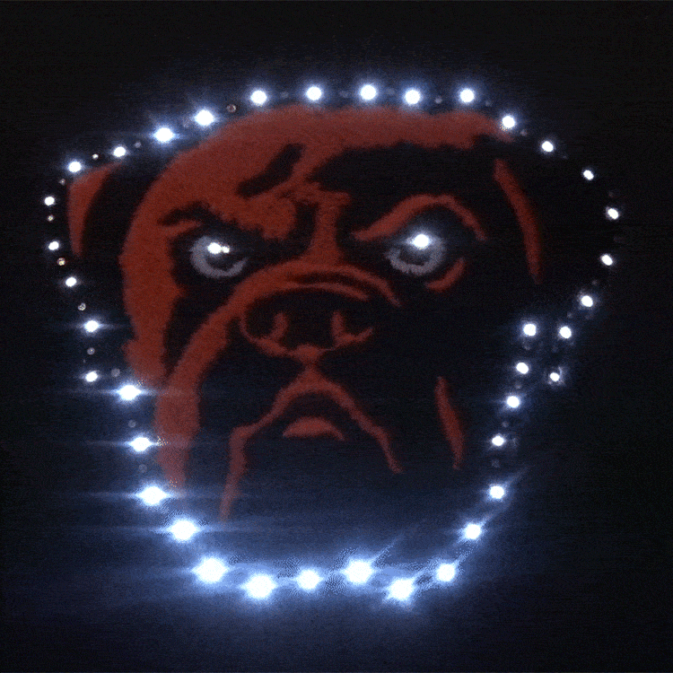 Cleveland Browns Flashing Fiber Optic Cap-1