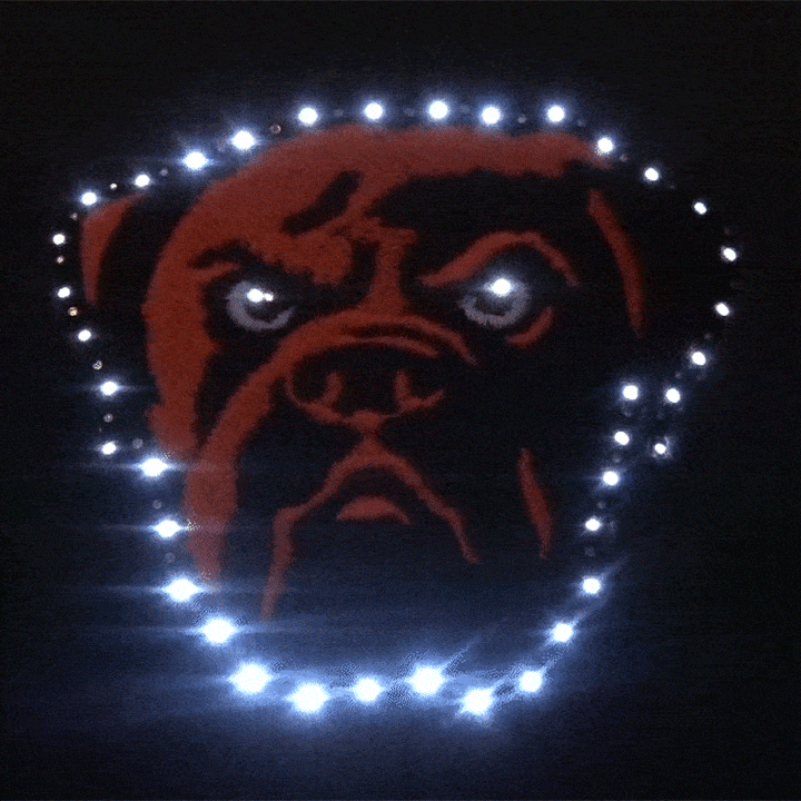 Cleveland Browns Flashing Fiber Optic Cap-1
