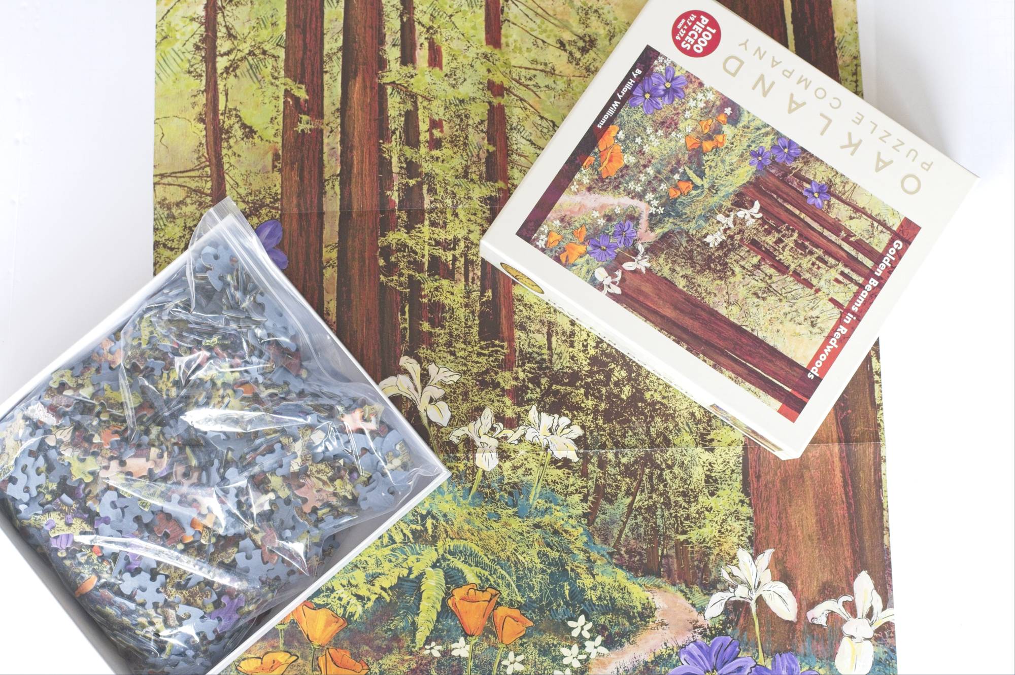 Golden Beams in Redwoods Puzzle – 1000 Pieces of California Forest Art by Hilary Williams 4