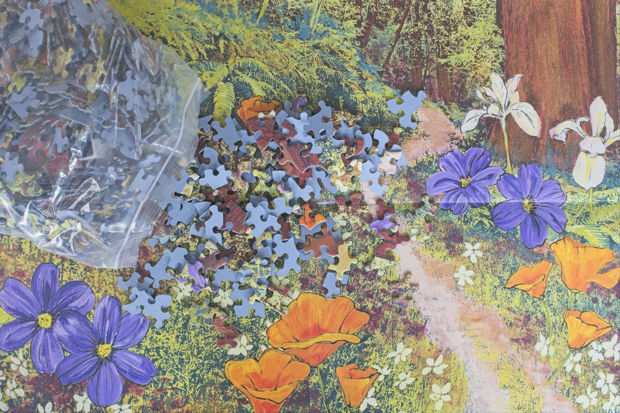 Golden Beams in Redwoods Puzzle – 1000 Pieces of California Forest Art by Hilary Williams 6