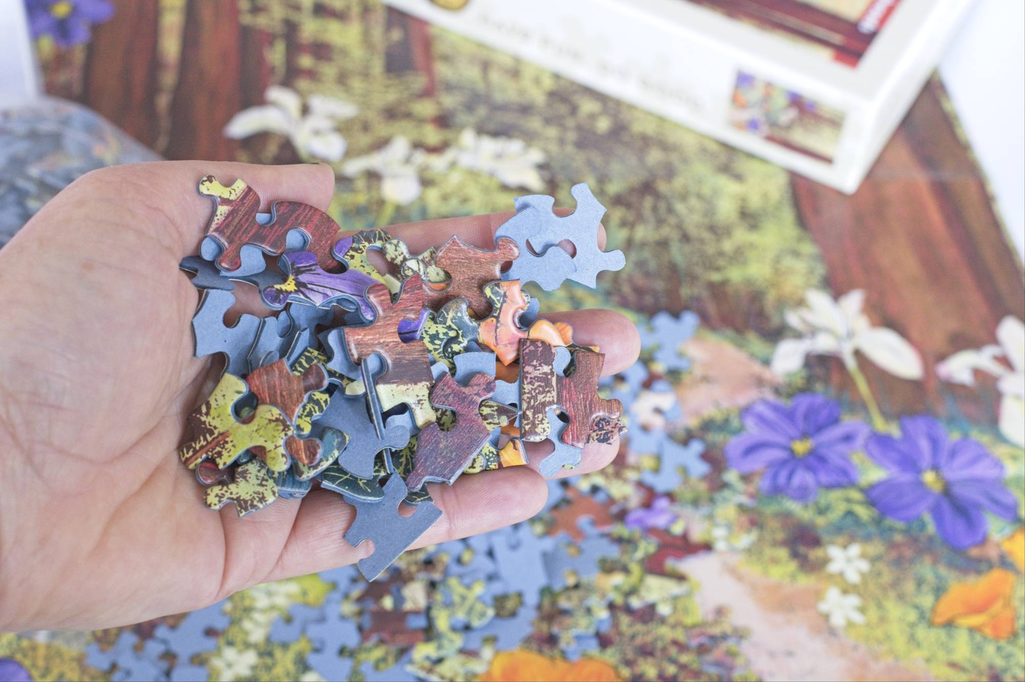 Golden Beams in Redwoods Puzzle – 1000 Pieces of California Forest Art by Hilary Williams 3