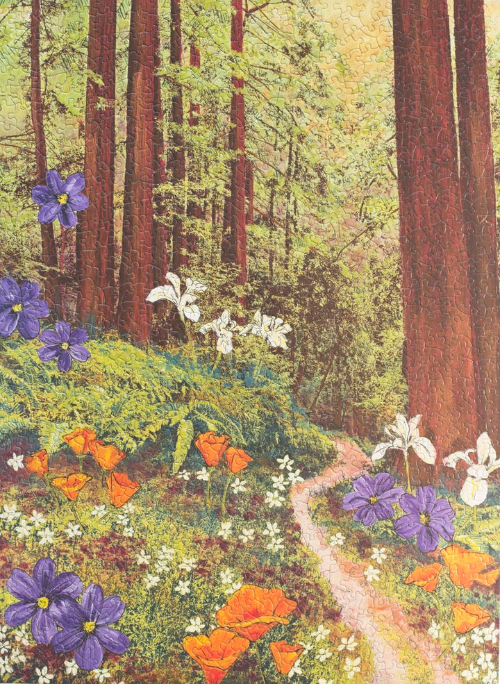 Golden Beams in Redwoods Puzzle – 1000 Pieces of California Forest Art by Hilary Williams
