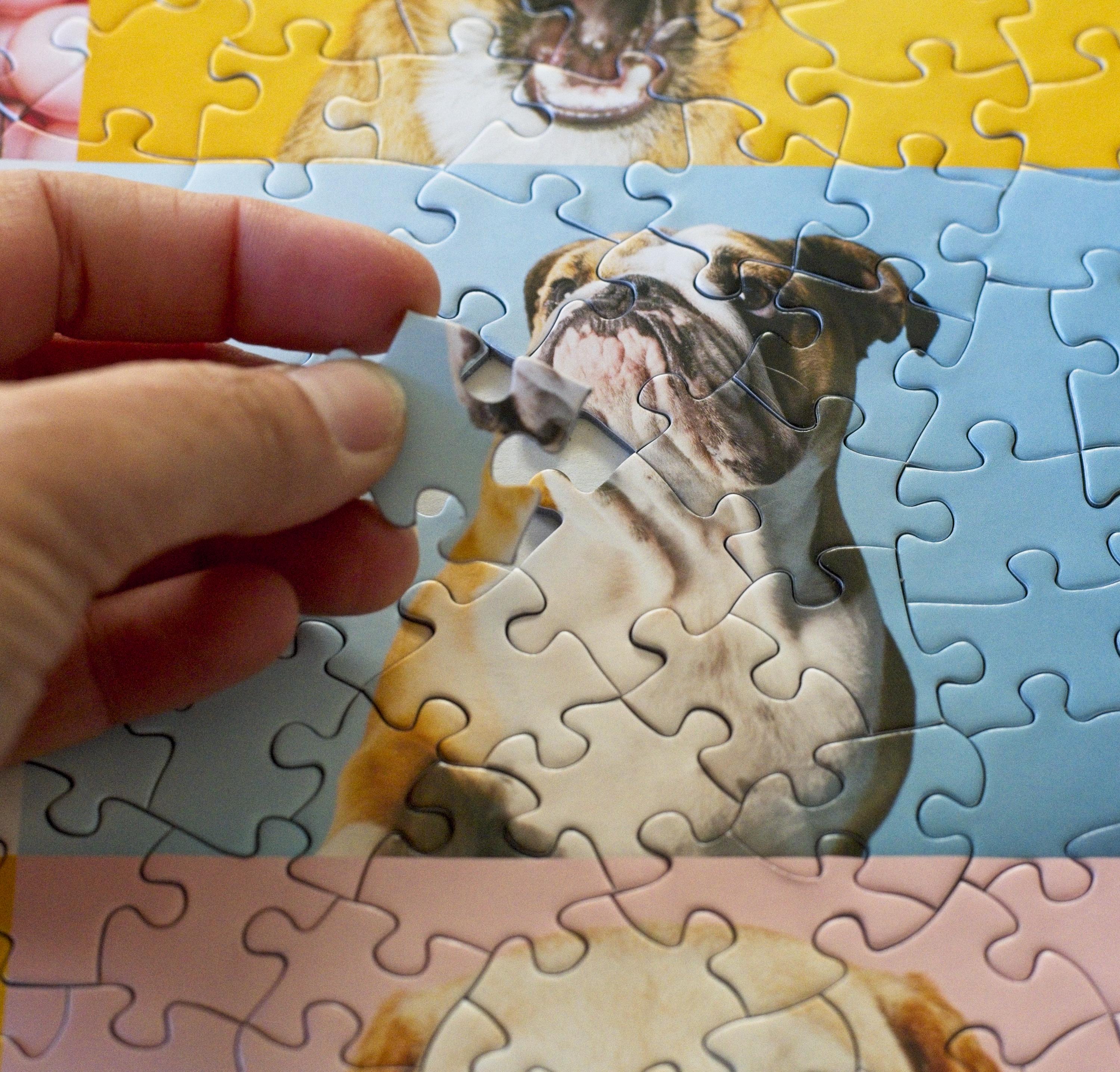 Dogs Puzzle – 500-Piece Portraits by Ellen Shershow 4