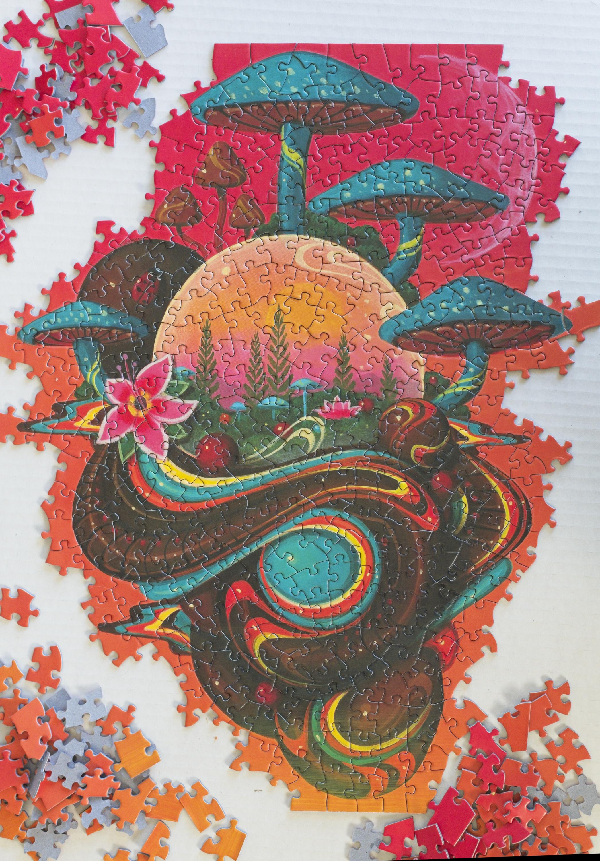 Microcosm Puzzle by Paul Lewin 500 Piece Art Puzzle from the Paul Lewin Series 2