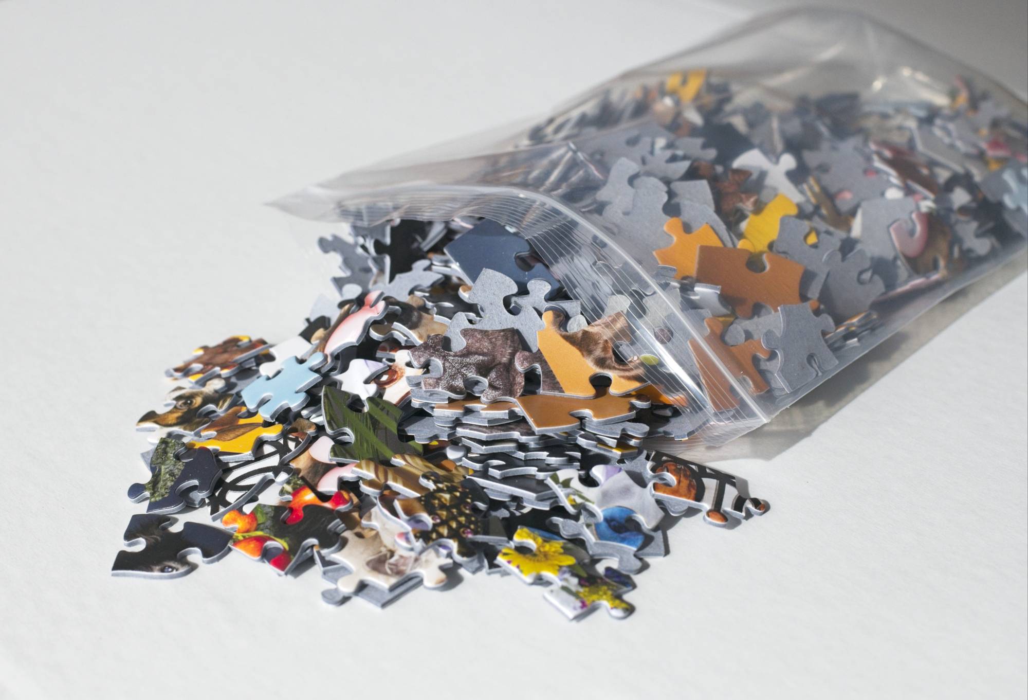 Dogs Puzzle – 500-Piece Portraits by Ellen Shershow 6