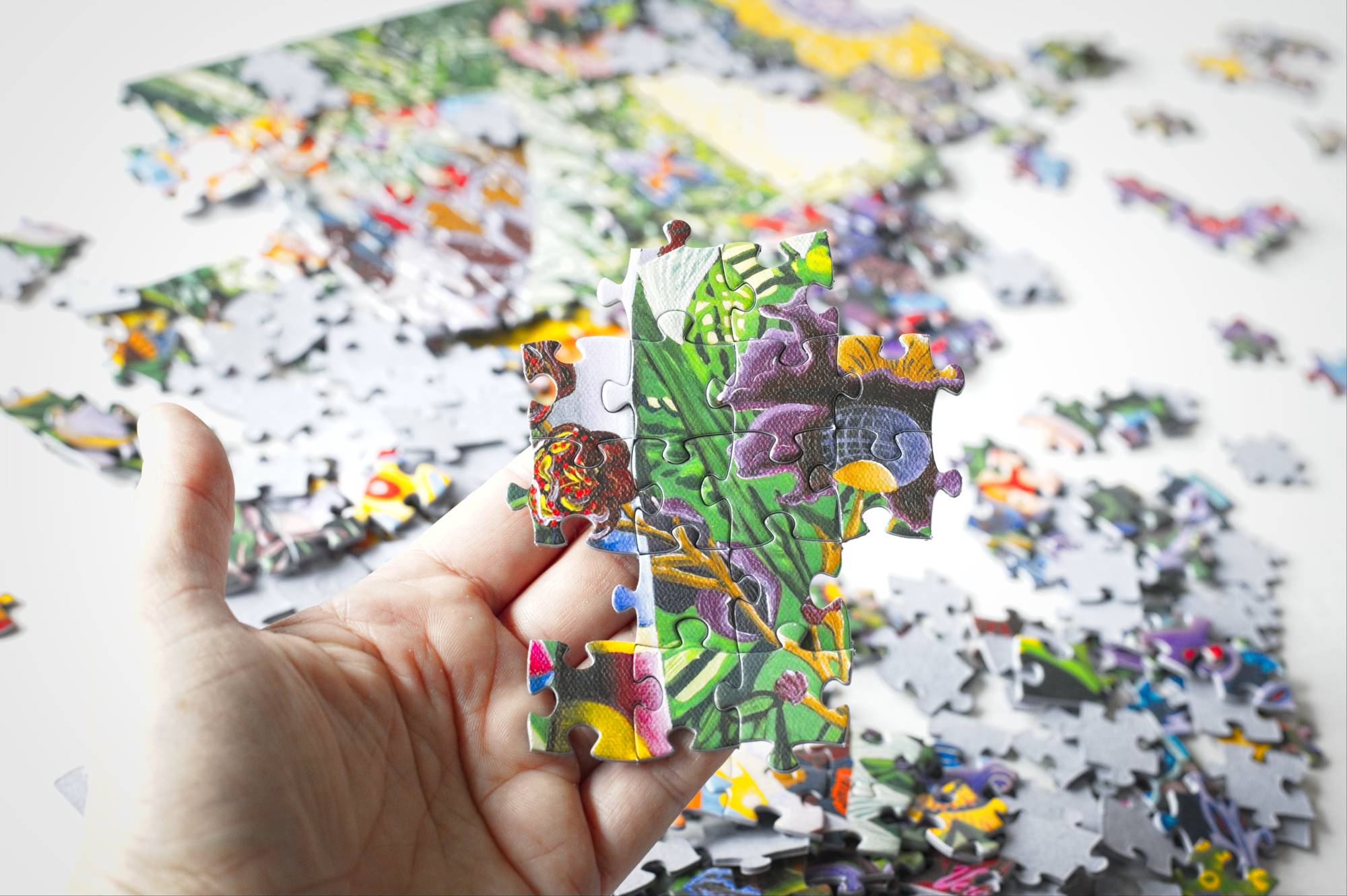 The Secret Garden Puzzle by Vera Tour 500 Piece Surreal Whimsical Art Jigsaw 3