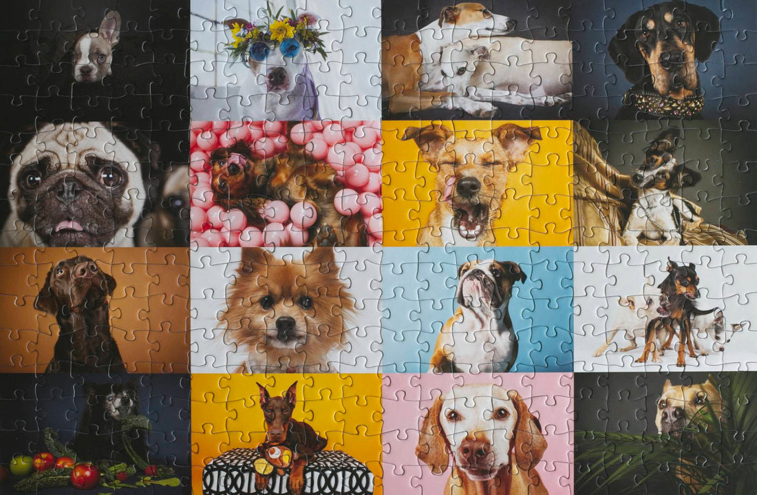 300-Piece Puzzles for Adults 5