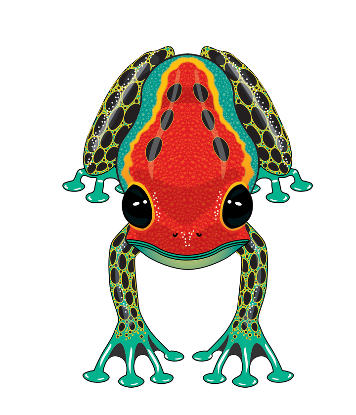 Kites - RainForest Dart Frog