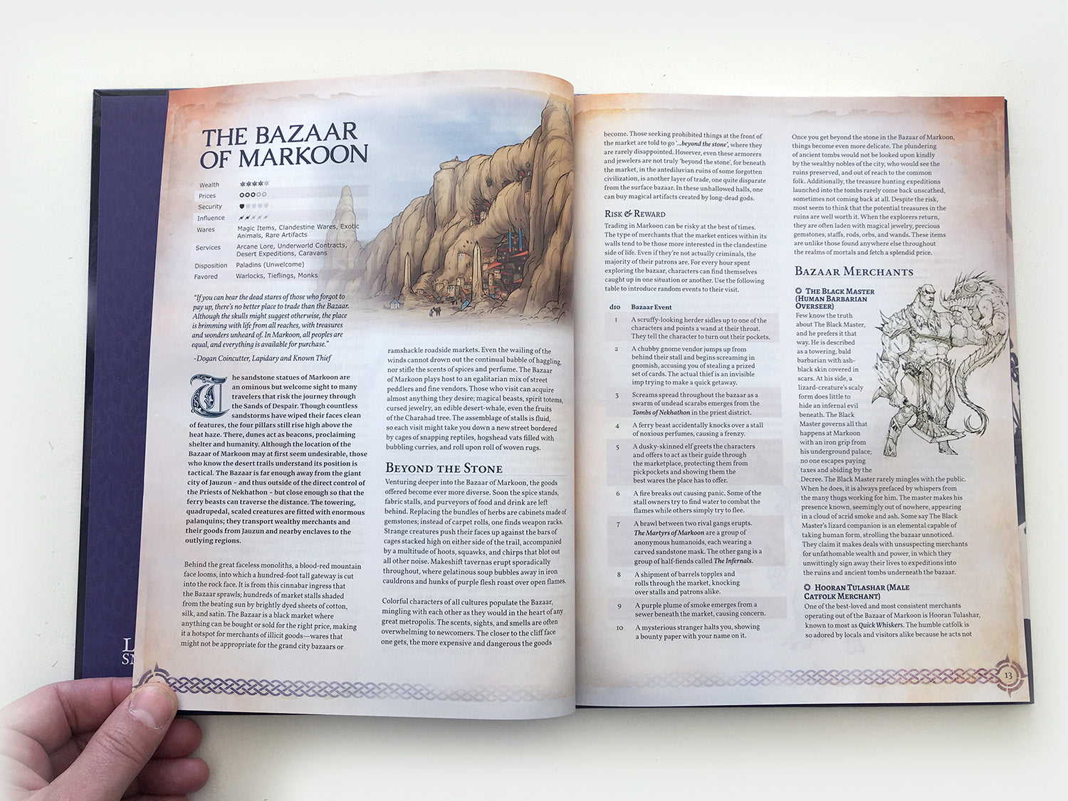 Remarkable Shops & Their Wares (Hardcover)