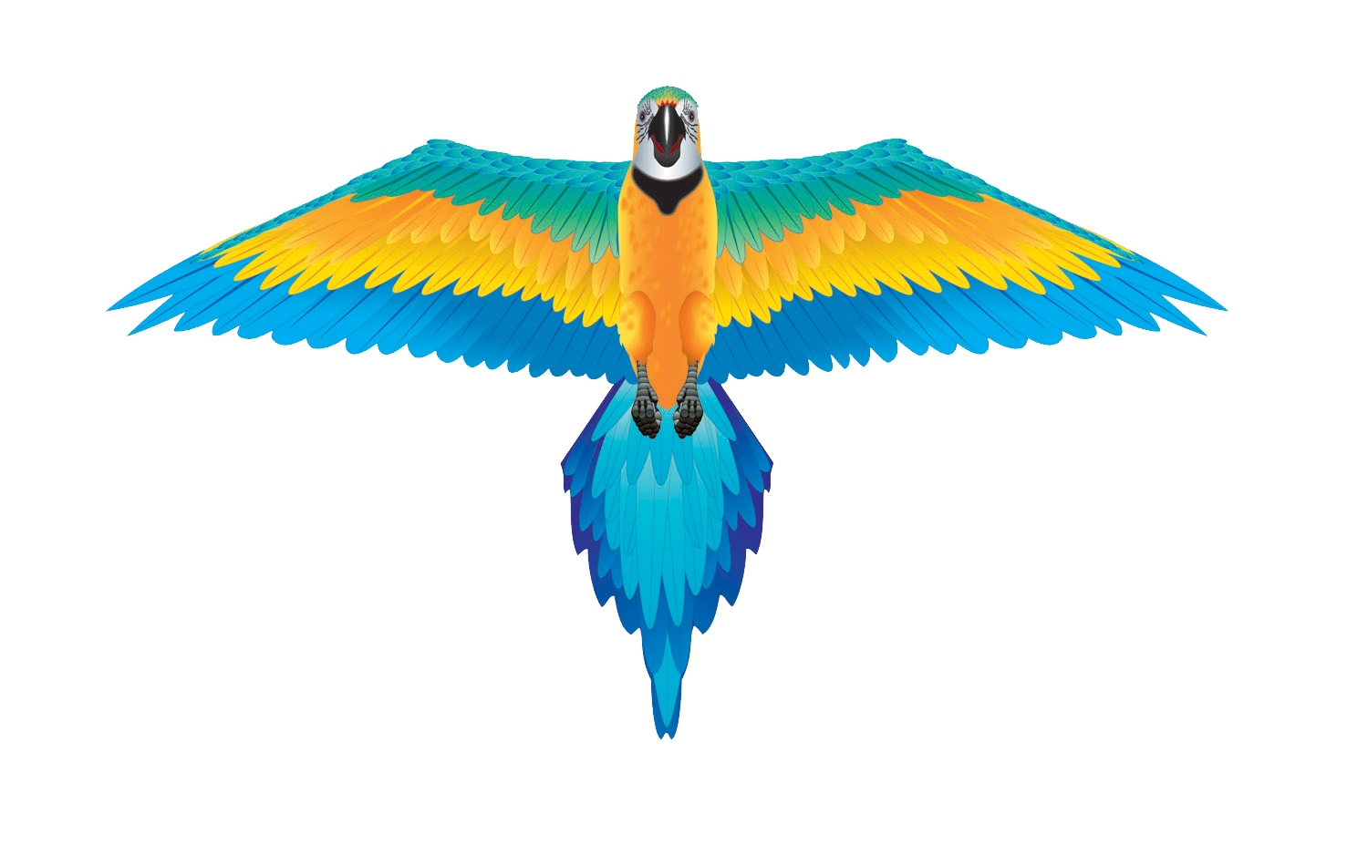 Kites - RainForest 61 inch Wingspan Nylon Macaw