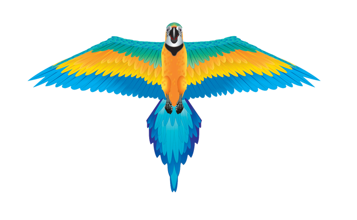 Kites - RainForest 61 inch Wingspan Nylon Macaw