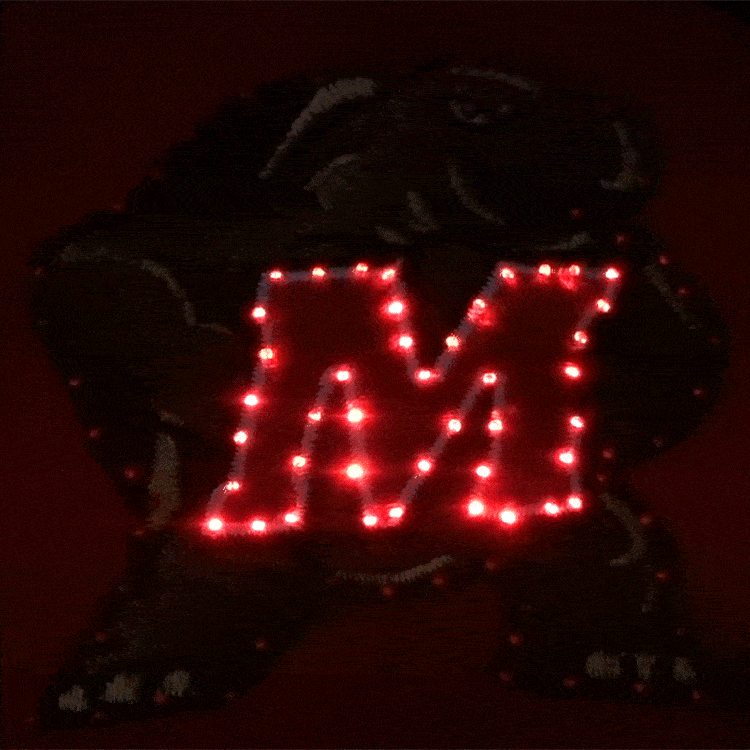 Maryland Terrapins Flashing Fiber Optic Cap-2