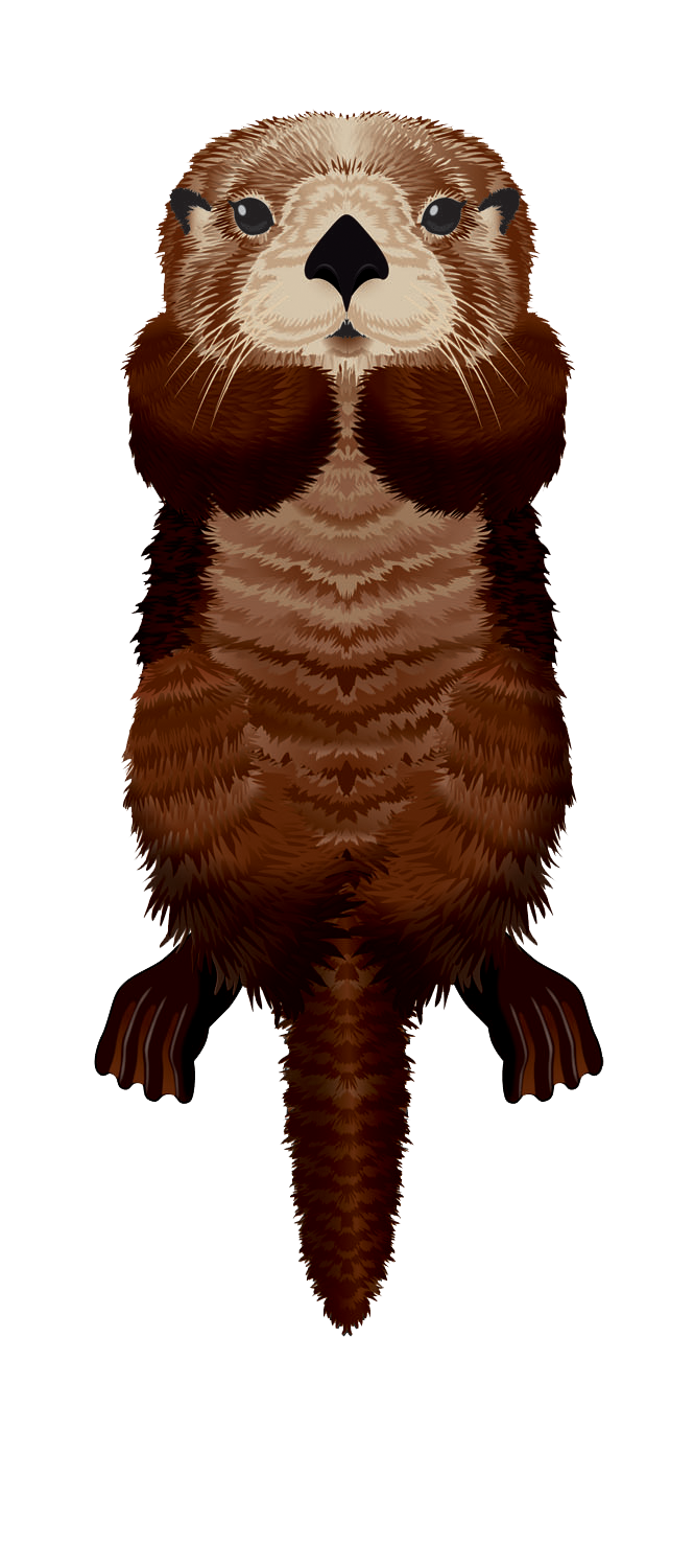 Kites - SeaLife 50 inch tall Nylon Otter Kite