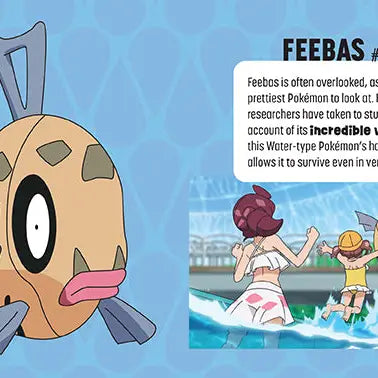 Pokémon: Trainer's Mini Exploration Guide To Hoenn 2