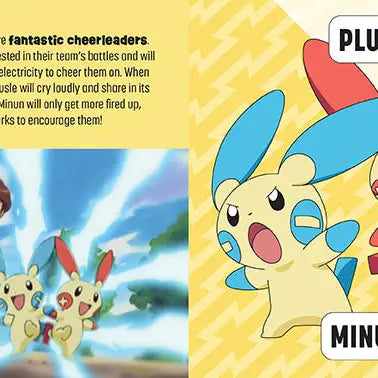 Pokémon: Trainer's Mini Exploration Guide To Hoenn 4