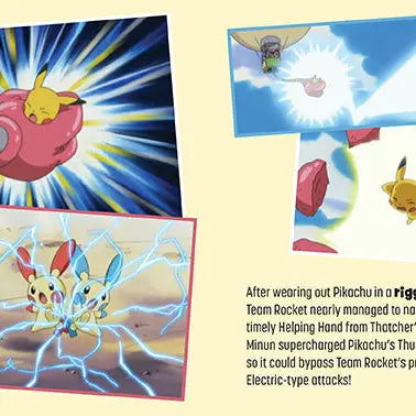 Pokémon: Trainer's Mini Exploration Guide To Hoenn 5