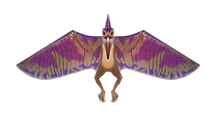 Kite - 65 Inches Wide Nylon Pterodactyl Kite
