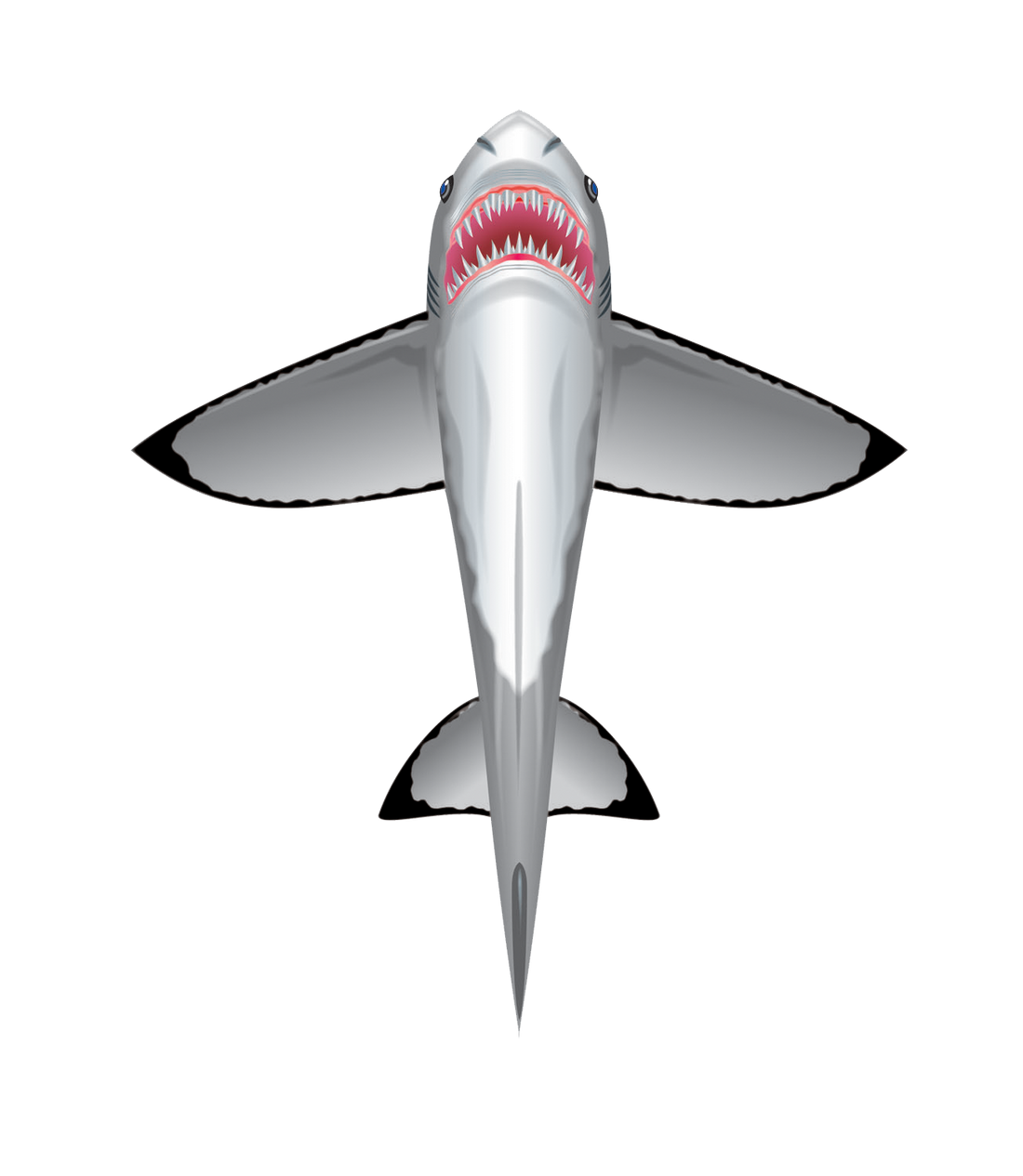 Kites - SeaLife 60 inch tall Nylon Shark Kite