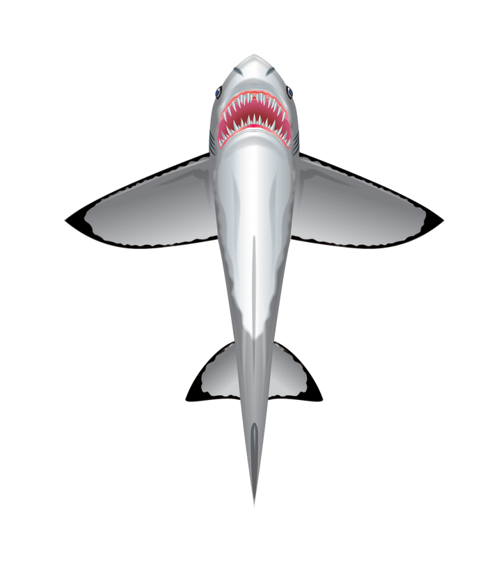 Kites - SeaLife 60 inch tall Nylon Shark Kite