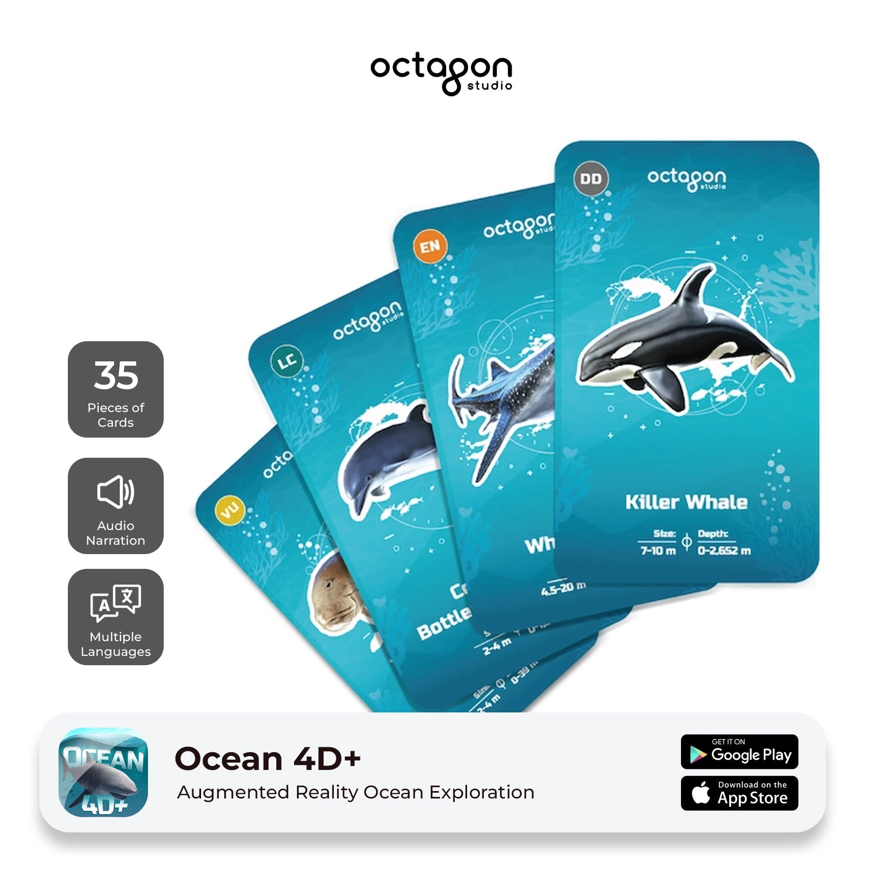 Ocean 4D+ Augmented Reality Cards 4