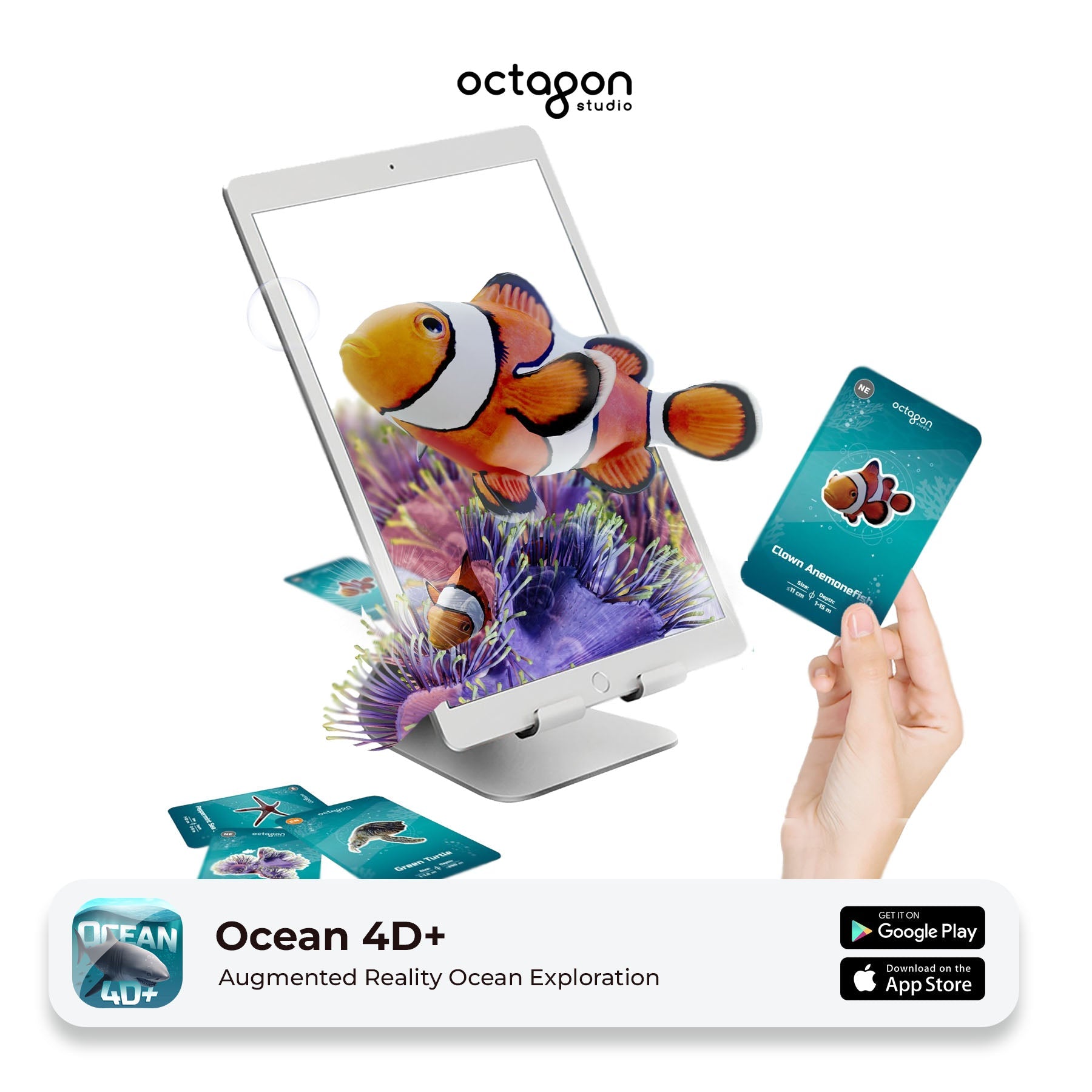 Ocean 4D+ Augmented Reality Cards 5