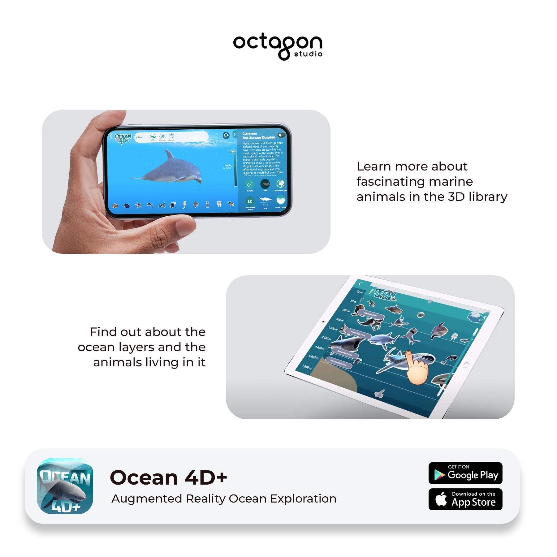 Ocean 4D+ Augmented Reality Cards 2