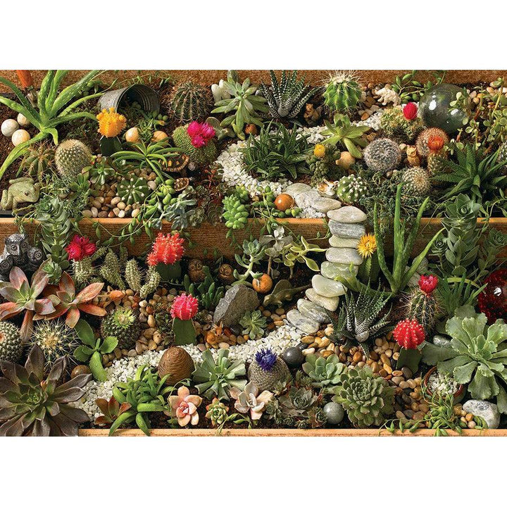 Cobble Hill Succulent Garden 1000 Piece Jigsaw Puzzle discontinued large box edition 2