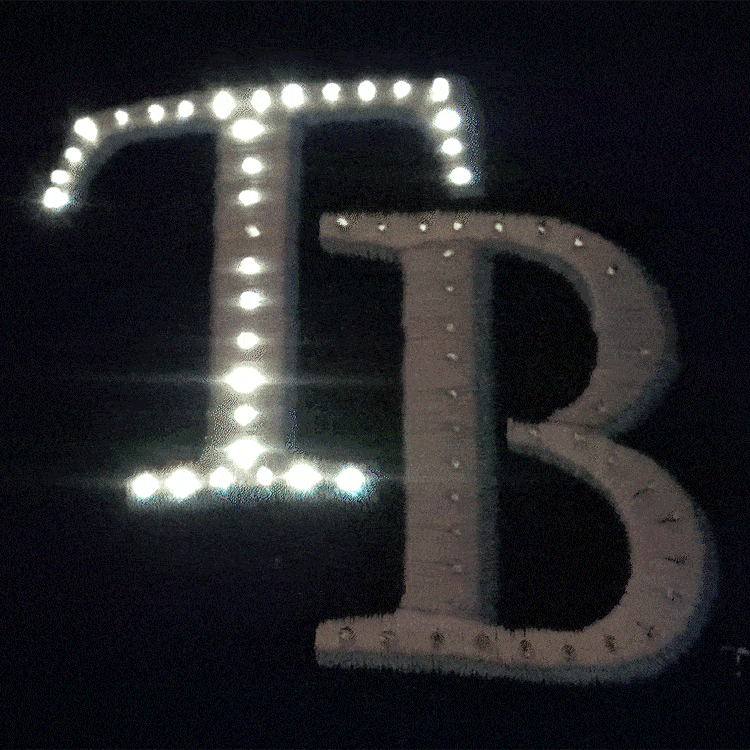 Tampa Bay Devil Rays Flashing Fiber Optic Cap-1