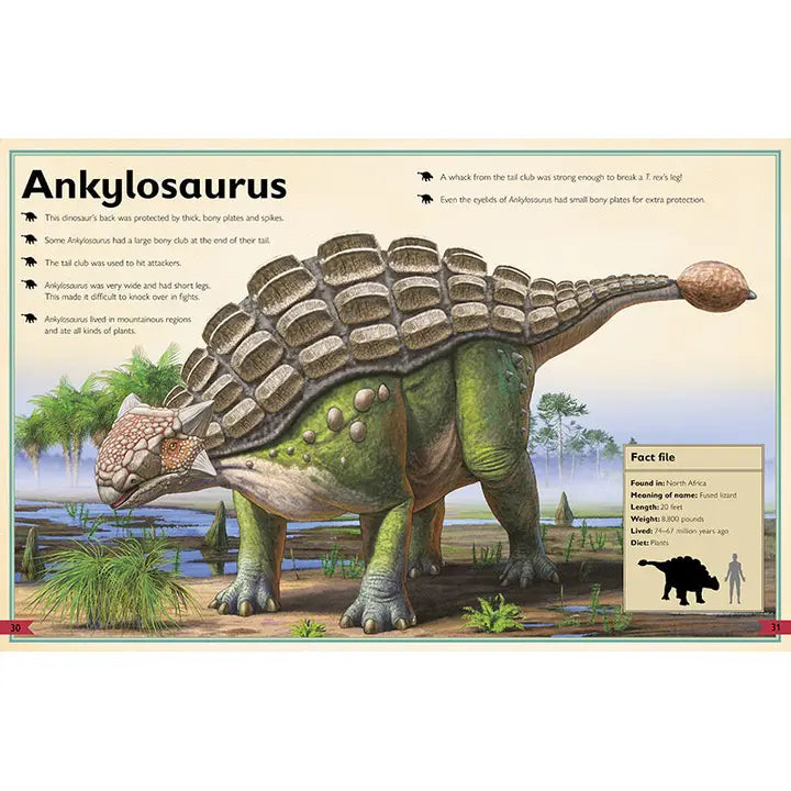 The Magnificent Book of Dinosaurs 3