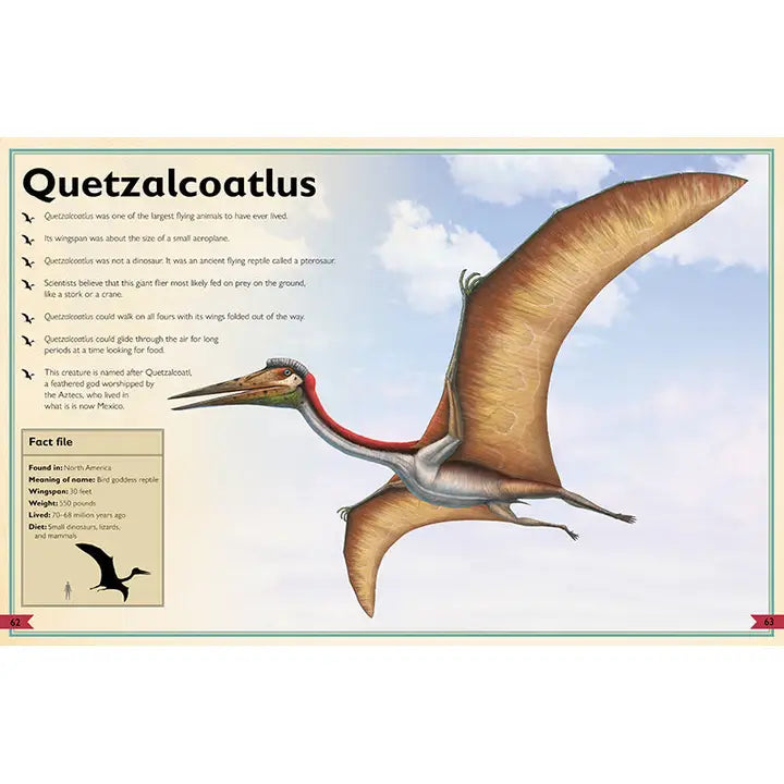 The Magnificent Book of Dinosaurs 5