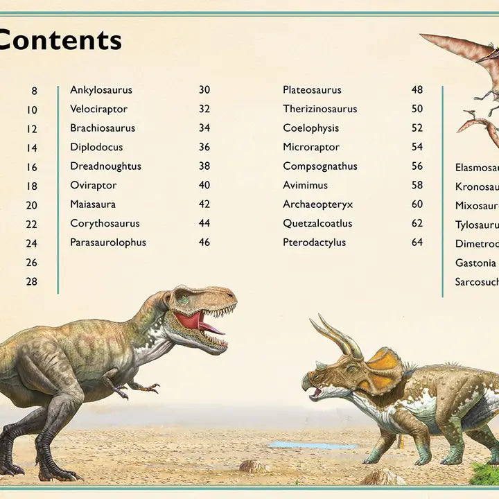 The Magnificent Book of Dinosaurs 6