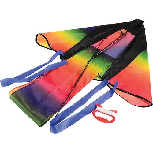 Rainbow Dragon Tail Kite Top View