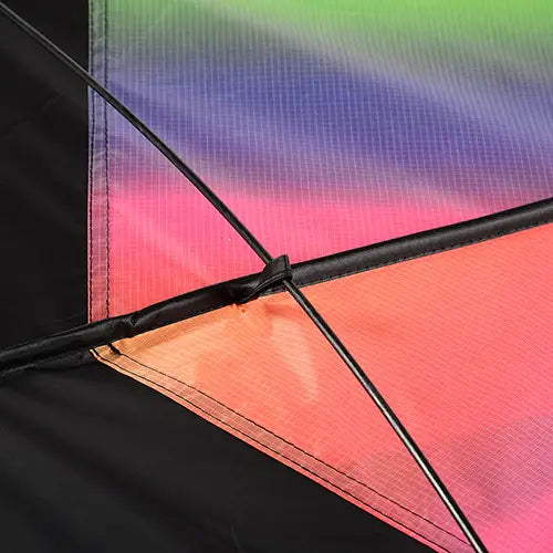 Rainbow Dragon Tail Kite - Struts